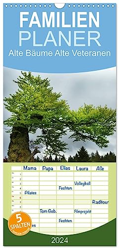 Familienplaner 2024 - Alte Bäume Alte Veteranen mit 5 Spalten (Wandkalender, 21 cm x 45 cm) CALVENDO