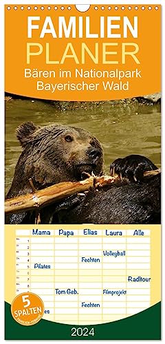 Familienplaner 2024 - Bären im Nationalpark Bayerischer Wald mit 5 Spalten (Wandkalender, 21 cm x 45 cm) CALVENDO: Die Geschwister Luna und Benni (CALVENDO Tiere)