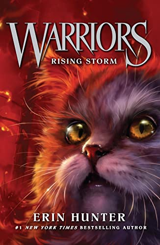 Rising Storm: Discover the Warrior Cats, the bestselling children’s fantasy series of animal tales (Warriors, Band 4)