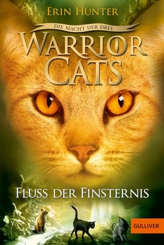 Warrior Cats - Die Macht der Drei. Fluss der Finsternis: III, Band 2