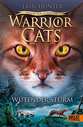Warrior Cats - Vision von Schatten. Wütender Sturm: Staffel VI, Band 6