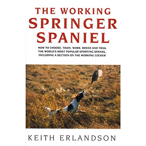 The Working Springer Spaniel