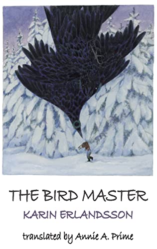 The Bird Master: Song of the Eye Stone Book 2 (Song of the Eye Stone, 2, Band 2) von Dedalus Ltd