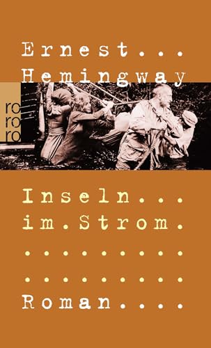 Inseln im Strom