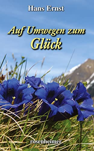 Auf Umwegen zum Glück: Roman