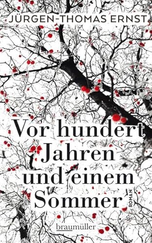 Vor hundert Jahren und einem Sommer: Roman