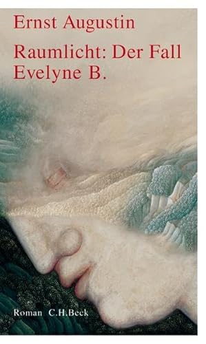 Raumlicht: Der Fall Evelyne B.: Roman