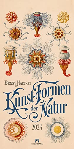 Kunst-Formen der Natur - Ernst Haeckel Kalender 2024, Wandkalender im Hochformat (33x66 cm) - Naturkundliche Illustrationen, Vintagekalender
