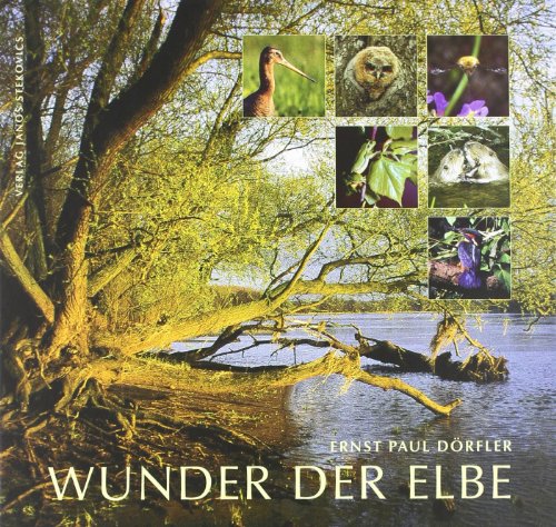 Wunder der Elbe - Biografie eines Flusses von Stekovics, Janos