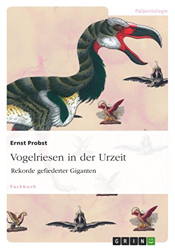 Vogelriesen in der Urzeit: Rekorde gefiederter Giganten Vogelriesen in der Urzeit: Rekorde gefiederter Giganten