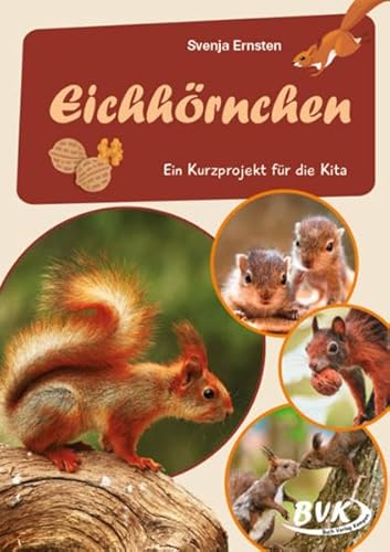 Eichhörnchen: Ein Kurzprojekt für die Kita (Kita-Kurzprojekte) (Kindergarten kompakt: Material für Erzieher) von Buch Verlag Kempen