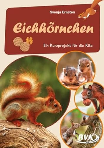 Eichhörnchen: Ein Kurzprojekt für die Kita (Kita-Kurzprojekte) (Kindergarten kompakt: Material für Erzieher) von Buch Verlag Kempen