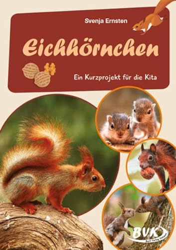 Eichhörnchen: Ein Kurzprojekt für die Kita (Kita-Kurzprojekte) (Kindergarten kompakt: Material für Erzieher)