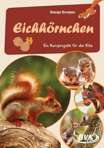 Eichhörnchen: Ein Kurzprojekt für die Kita (Kita-Kurzprojekte) (BVK-Kurzprojekte)