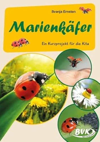 Marienkäfer: Ein Kurzprojekt für die Kita (Kita-Kurzprojekte) (BVK-Kurzprojekte) von Buch Verlag Kempen