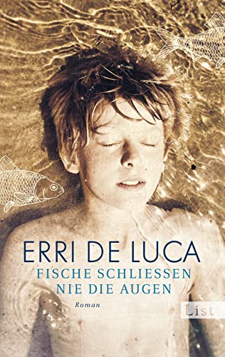 Fische schließen nie die Augen: Roman von Ullstein Taschenbuchvlg.