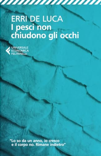 I pesci non chiudono gli occhi (Universale economica)