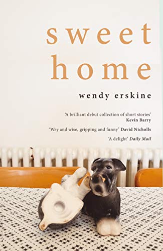 Sweet Home (Aziza's Secret Fairy Door, 333) von Picador