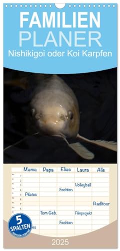 Familienplaner 2025 - Nishikigoi oder Koi Karpfen mit 5 Spalten (Wandkalender, 21 cm x 45 cm), CALVENDO: Nishikigoi oder einfacher "Koi". Ein Fisch in seinem Lebensraum. von CALVENDO