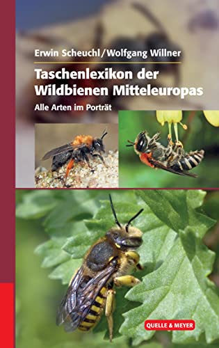 Taschenlexikon der Wildbienen Mitteleuropas: Alle Arten im Porträt