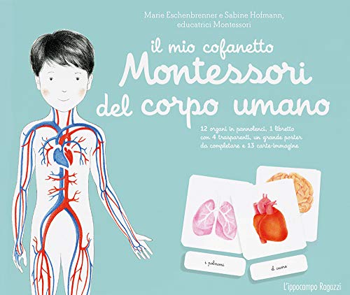 Il mio cofanetto Montessori del corpo umano von L'Ippocampo Ragazzi
