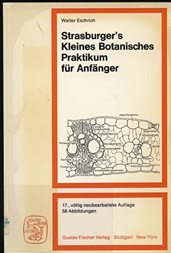Strasburger's kleines Botanisches Praktikum für Anfänger Strasburger's kleines Botanisches Praktikum für Anfänger von Spektrum Akademischer Verlag