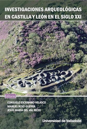 INVESTIGACIONES ARQUEOLÓGICAS EN CASTILLA Y LEÓN EN EL SIGLO XXI INVESTIGACIONES ARQUEOLÓGICAS EN CASTILLA Y LEÓN EN EL SIGLO XXI von Ediciones Universidad de Valladolid