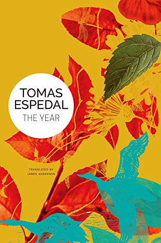 The Year: A Novel von Seagull Books