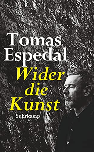Wider die Kunst (suhrkamp taschenbuch)