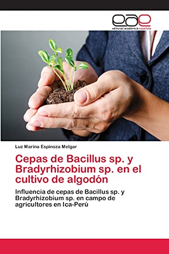 Cepas de Bacillus sp. y Bradyrhizobium sp. en el cultivo de algodón: Influencia de cepas de Bacillus sp. y Bradyrhizobium sp. en campo de agricultores en Ica-Perú