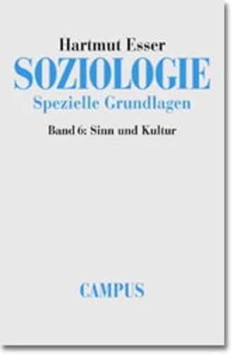 Soziologie. Spezielle Grundlagen: Band 6: Sinn und Kultur von Campus Verlag