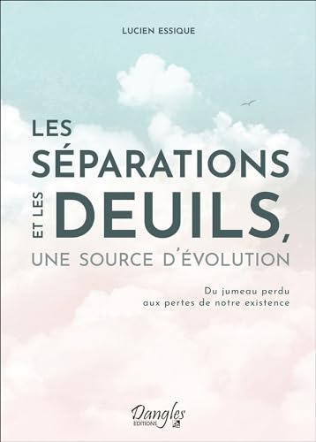 Les séparations et les deuils, une source d'évolution - Du jumeau perdu aux pertes de notre existence Les séparations et les deuils, une source d'évolution - Du jumeau perdu aux pertes de notre existence von DANGLES