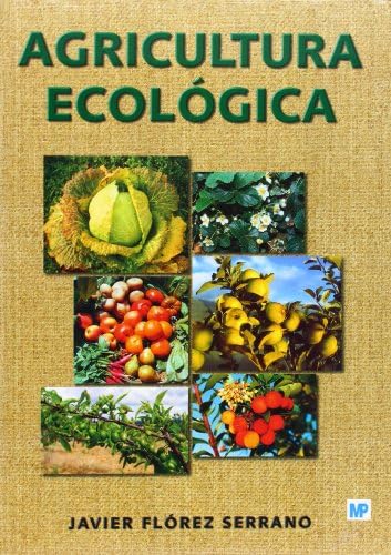Energía solar térmica : manual práctico: Manual y guía didáctica (Agricultura Ecológica) von Ediciones Mundi-Prensa
