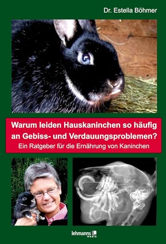 Warum leiden Hauskaninchen so häufig an Gebiss- und Verdauungsproblemen?: Ein Ratgeber für die Ernährung von Kaninchen Warum leiden Hauskaninchen so häufig an Gebiss- und Verdauungsproblemen?: Ein Ratgeber für die Ernährung von Kaninchen