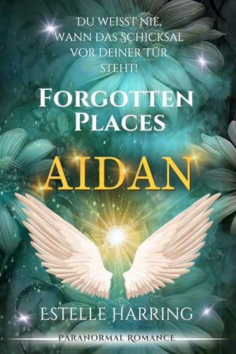 Forgotten Places: Aidan: (Band 4)