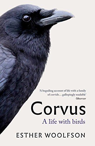 Corvus: A Life with Birds