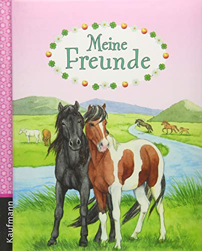 Meine Freunde (Freundebuch für die Schule: Meine Schulfreunde für Mädchen und Jungen) von Kaufmann Ernst Vlg GmbH