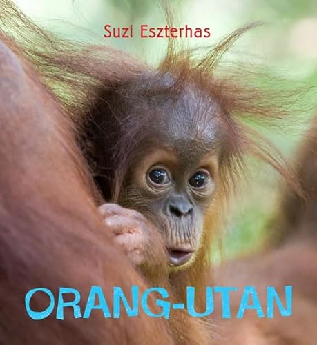 Orang-utan