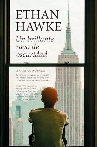 Un brillante rayo de oscuridad (Contemporáneos) von Almuzara