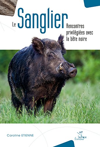 Le sanglier rencontres privilégiées avec la bête noire: Rencontres privilégiées avec le bête noire