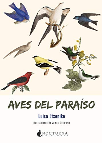 Aves del paraíso (Noches Blancas, Band 39) von Nocturna Ediciones