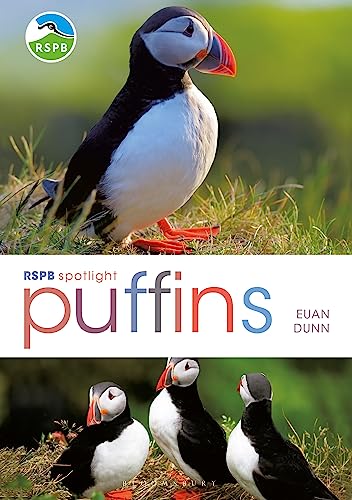 RSPB Spotlight: Puffins von Bloomsbury Wildlife