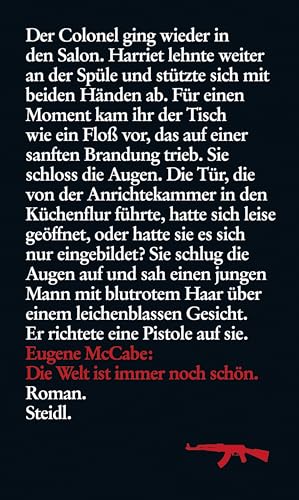 Die Welt ist immer noch schön: Roman