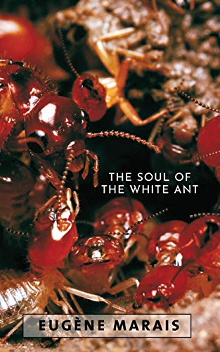 The Soul of the White Ant von Distant Mirror
