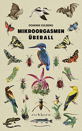 Mikroorgasmen überall: Von der Raffinesse und Mannigfaltigkeit der Natur vor unserer Haustür von Eichborn Verlag