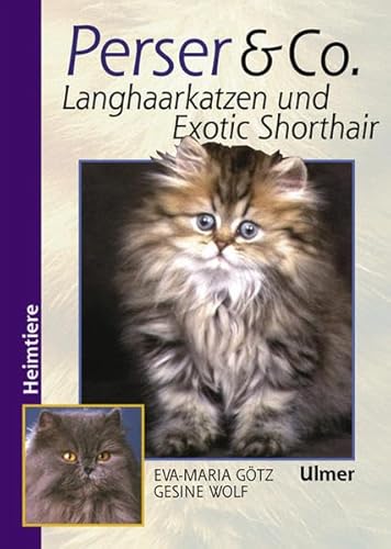 Perser & Co.: Langhaarkatzen und Exotic Shorthair (Heimtiere) von Ulmer Eugen Verlag