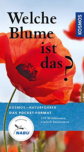 Welche Blume ist das?: 170 Blumen einfach bestimmen