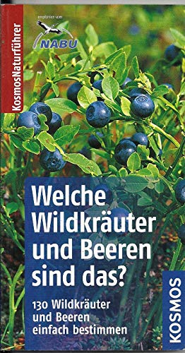 Welche Wildkräuter und Beeren sind das?: Kosmos Basic