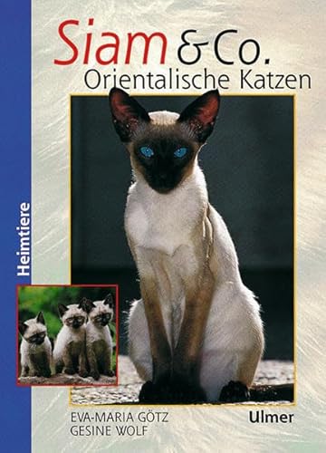 Siam & Co. Orientalische Katzen: Orientalische Katzen (Heimtiere) von Ulmer Eugen Verlag