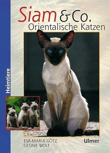 Siam & Co. Orientalische Katzen (Heimtiere)